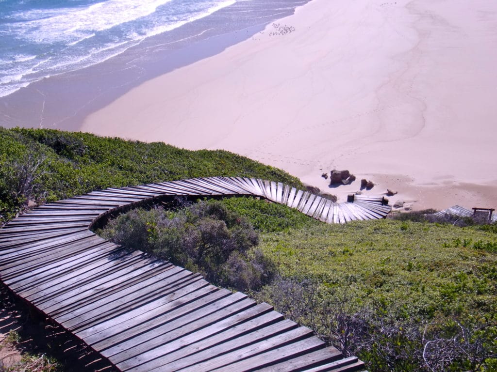 Le meilleur itinéraire pour visiter l’Afrique du Sud en 2 semaines : Plettenberg Bay et balade dans le Robberg national parc sur la route des jardins