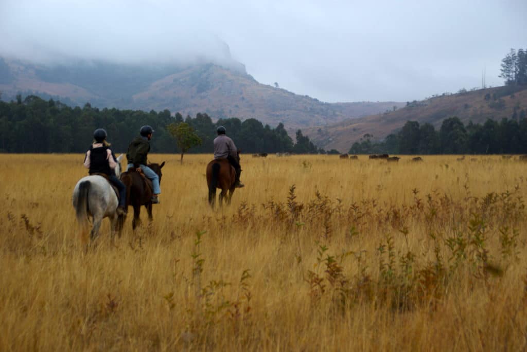 Le meilleur itinéraire pour visiter l’Afrique du Sud en 1 mois : safari à cheval au parc Mlilwane wildlife sanctuary au Swaziland