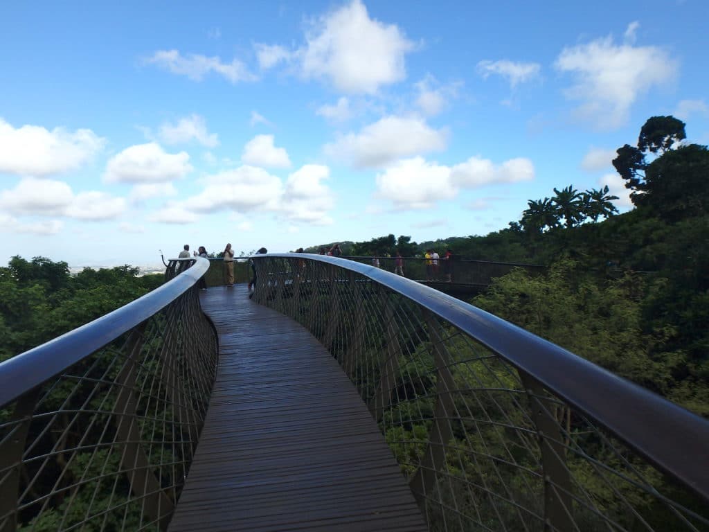 Le meilleur itinéraire pour visiter l’Afrique du Sud en 2 semaines : le jardin botanique national de Kirstenbosch