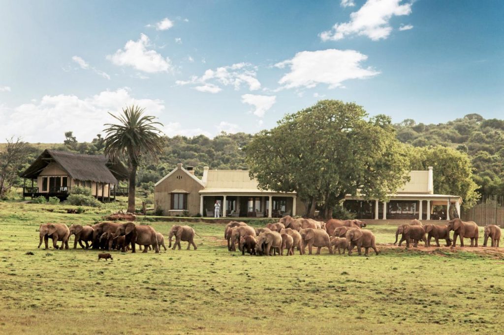 Les meilleurs hôtels de chaque région pour se loger en Afrique du Sud : Addo Elephant Park