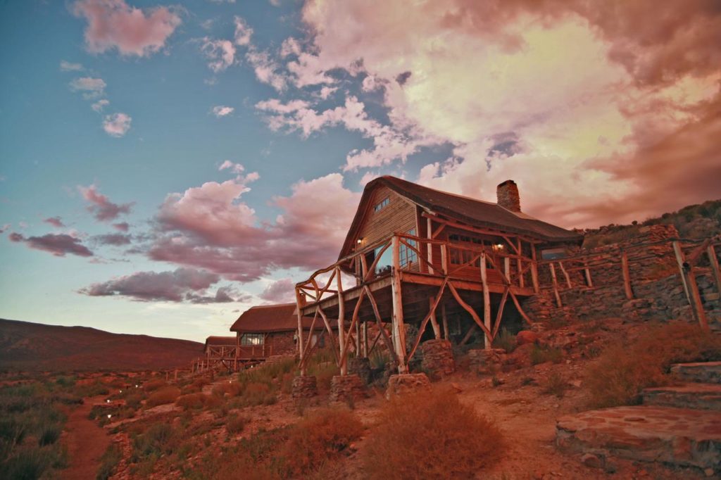 Aquila Private Game Reserve : le meilleur hôtel safari dans une réserve proche de Cape Town en Afrique du Sud