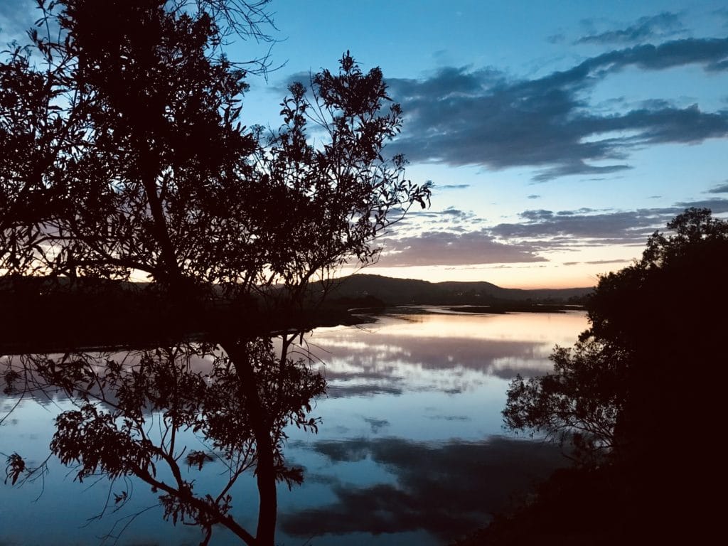 Le planton phosphorescent fait parti des meilleures activités découvertes de Plettenberg Bay en Afrique du Sud