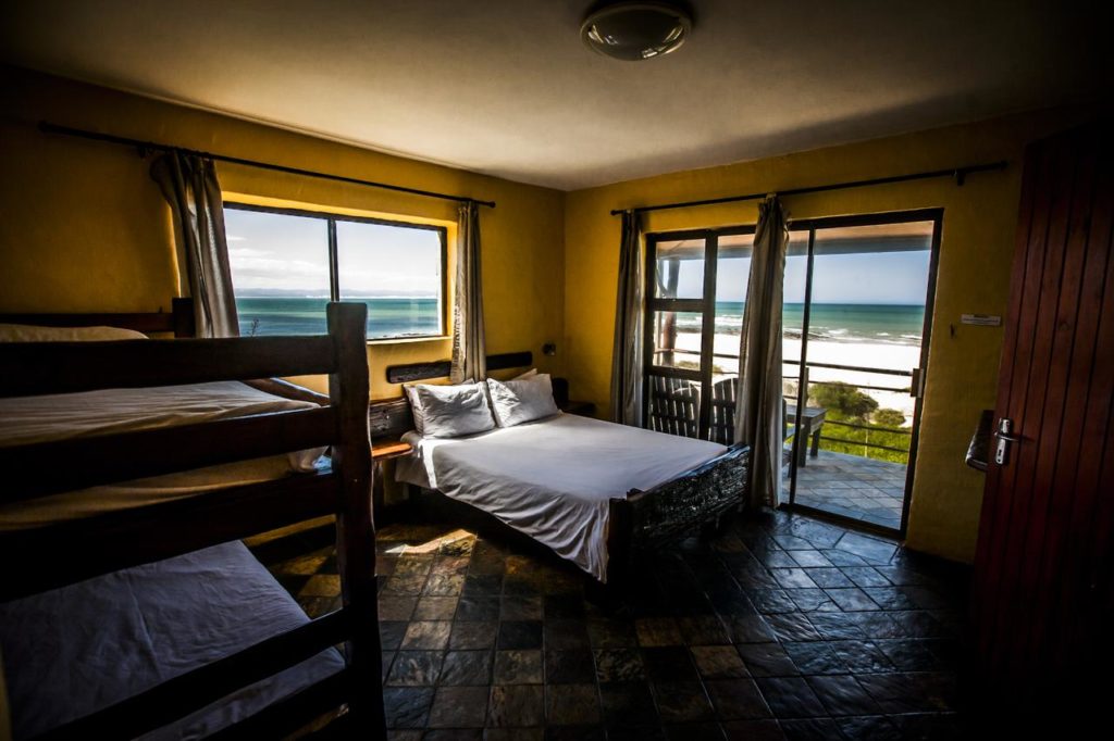 Hôtel Island Vibe Jeffreys Bay : la meilleure auberge de jeunesse proche d'Addo Elephant Park en Afrique du Sud 