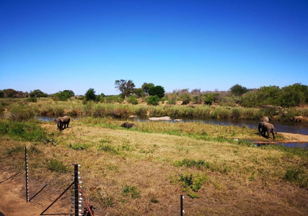 Sabie River Bush Lodge : l’hôtel avec le meilleur rapport qualité prix de Skukuza au Kruger National Park en Afrique du Sud  