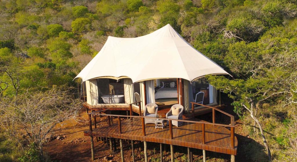 Hôtel Thanda Safari Lodge : le meilleur hôtel de la réserve Hluhluwe-Umfolozi en Afrique du Sud