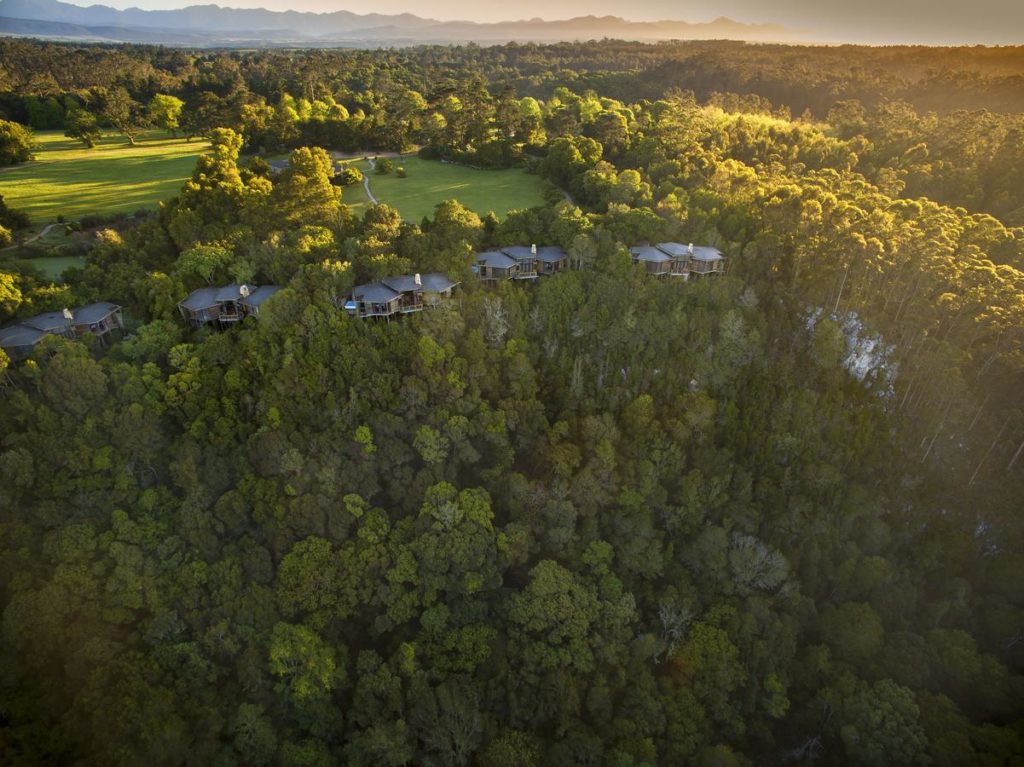 Tsala Treetop Lodge : le meilleur hôtel de luxe de Plettenberg Bay sur la route des jardins en Afrique du Sud