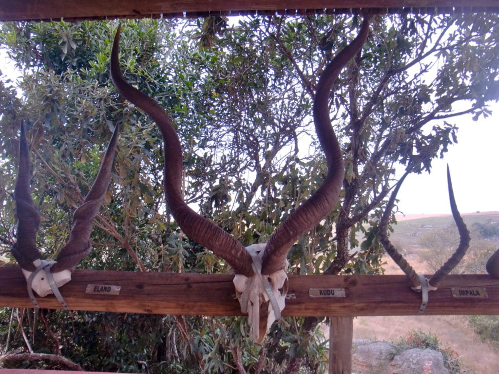 Randonnée dans les gorges d’Oribi en Afrique du Sud