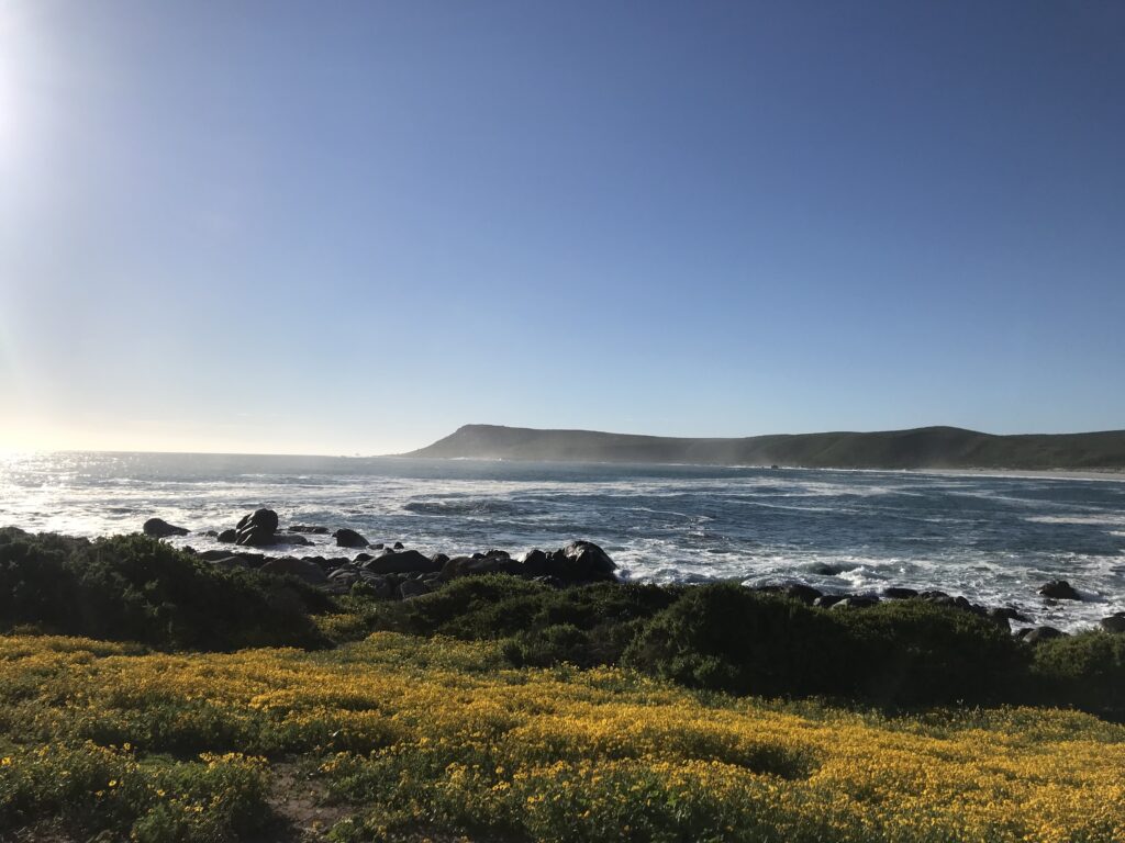 Découvrez le parc national de la côte Ouest dans le meilleur itinéraire pour profiter de la saison des fleurs en Afrique du Sud. Ce circuit vous amène dans les plus beaux parcs. 