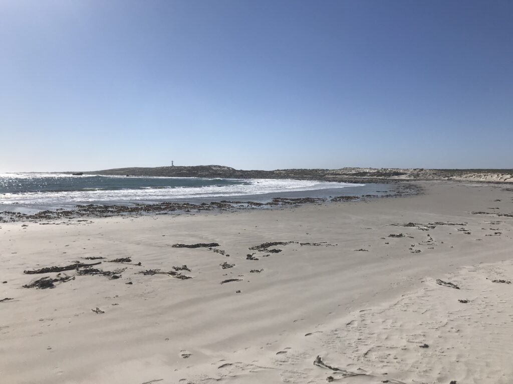 Découvrez la plage de HondeklipBaai dans le meilleur itinéraire pour profiter de la saison des fleurs en Afrique du Sud. Ce circuit vous amène dans les plus beaux parcs. 