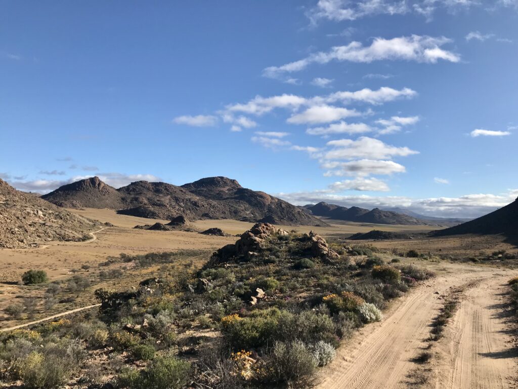 Découvrez des pistes 4x4 dans le meilleur itinéraire pour profiter de la saison des fleurs en Afrique du Sud. Ce circuit vous amène dans les plus beaux parcs. 