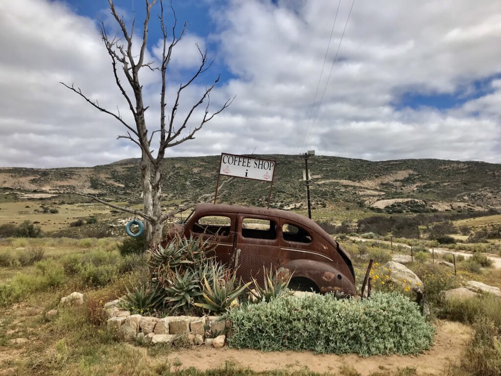 Découvrez le coffee shop Die murasie dans le meilleur itinéraire pour profiter de la saison des fleurs en Afrique du Sud. Ce circuit vous amène dans les plus beaux parcs. 